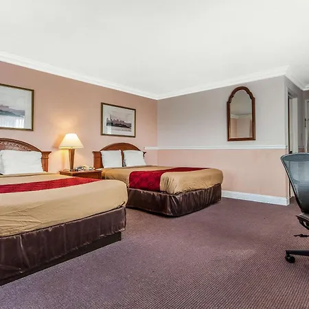 Econo Lodge Castro Valley I-580-2