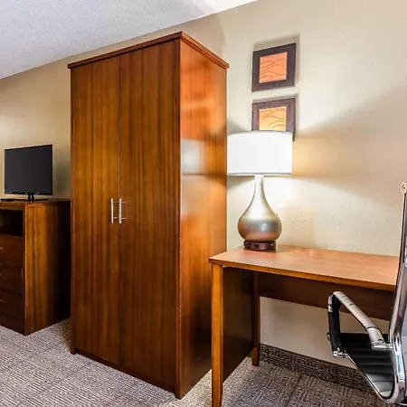 Comfort Inn & Suites Airport-American Way-2