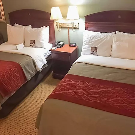 Comfort Inn Springfield-2