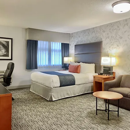 Best Western Plus Regency Inn And Conference Centre-2