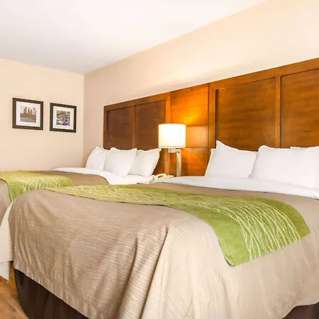 Comfort Inn & Suites Shawinigan-2