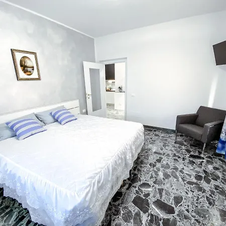 B&B Stella-2
