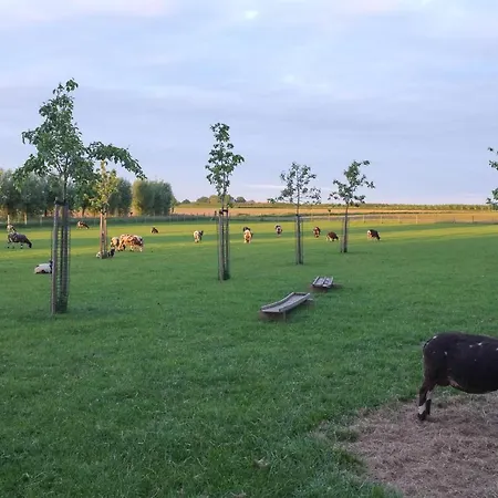 De Nachtdijk-3