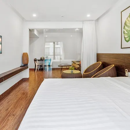Delfinol Hotel & Apartment Da Nang-2