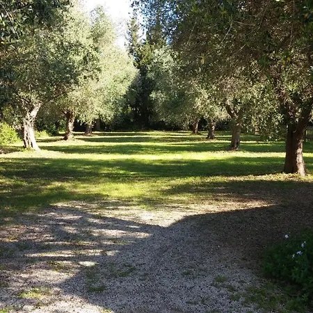 Residenza Villa I Nidi-3