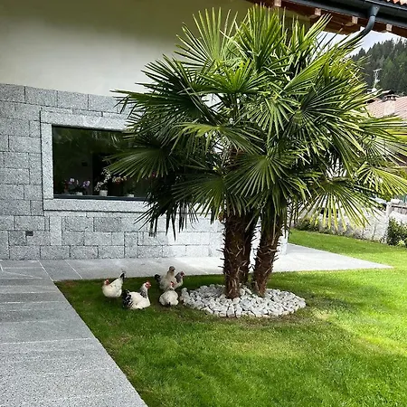 B&B Casa il sasso-2