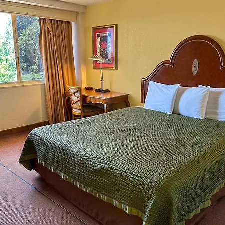 Golden Green Hotel By Oyo Charlotte-2