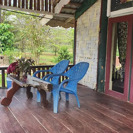 Sumatra Cheeky Monkeys-2