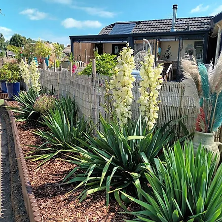 Naturistenlogement Op Flevonatuur-3
