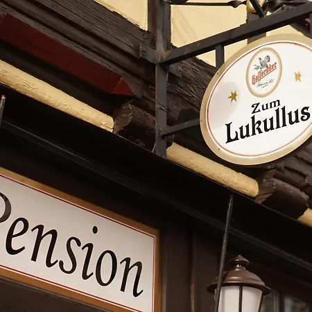 Pension Zum Lukullus-3