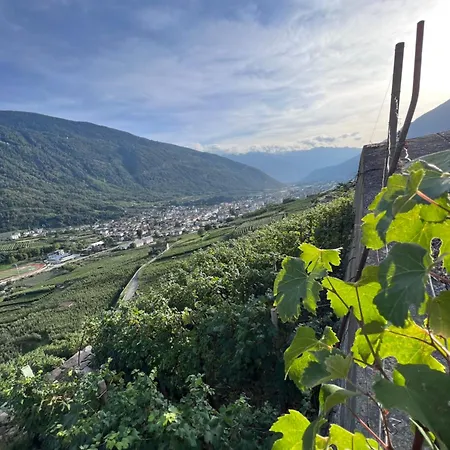 Sanmartino Suite-2