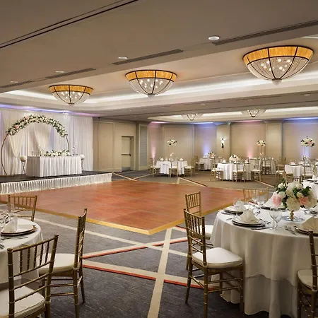 Hilton Arlington-2