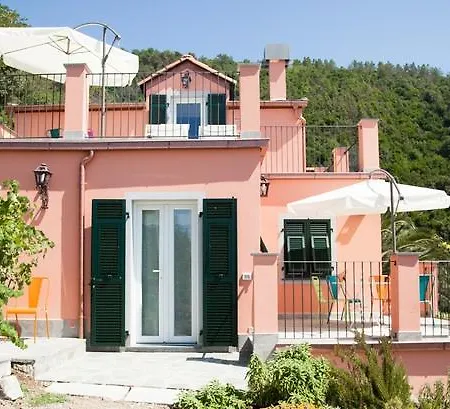 Il Nettare-2