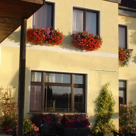 Elbterrassen zu Brambach-2