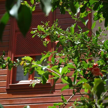 Ionas Boutique Hotel-2