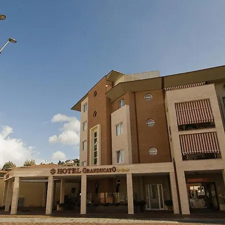 Hotel Granducato-3