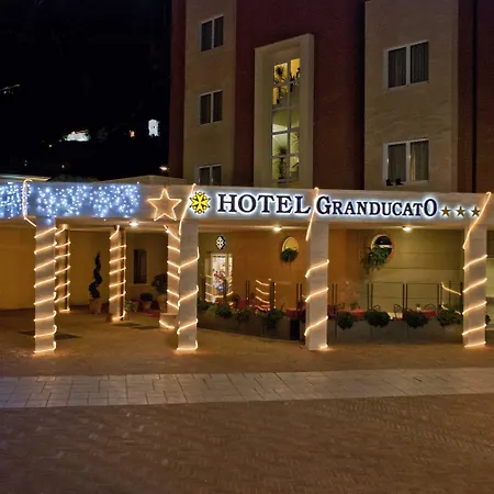 Hotel Granducato-2