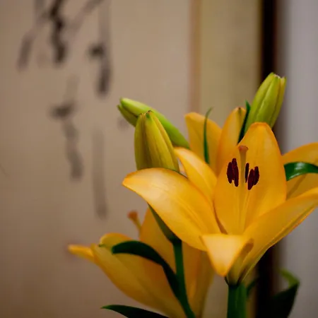Kimi Ryokan-3