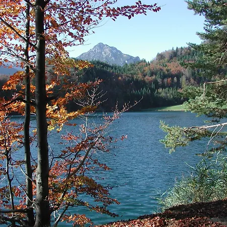 Die Lilie / Hotel Garni-2