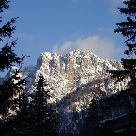 Residence Regina Delle Dolomiti-3