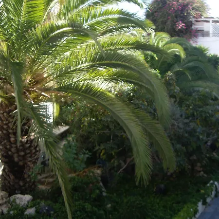 Poseidon Beach Hotel-3