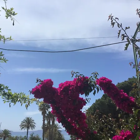 L'ilot Fleuri-3