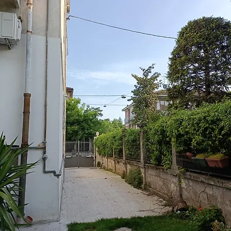 B&B Mavipagi-3