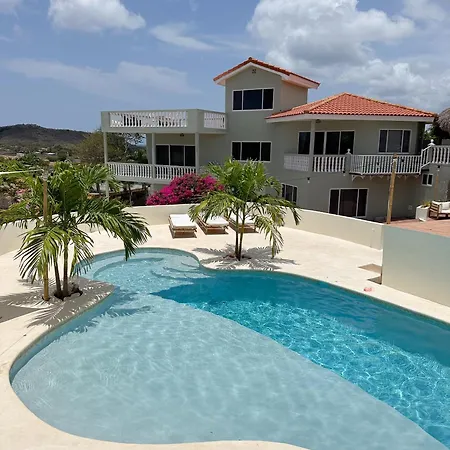 Palm View-2