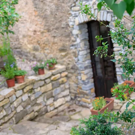 Maison d'Hôtes Mas de la Chadenede-2