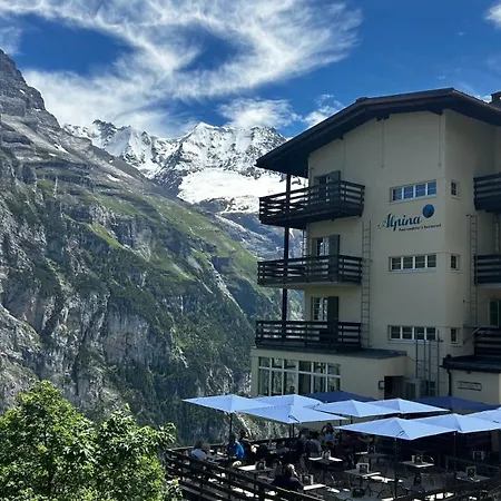 Hotel Alpina-3