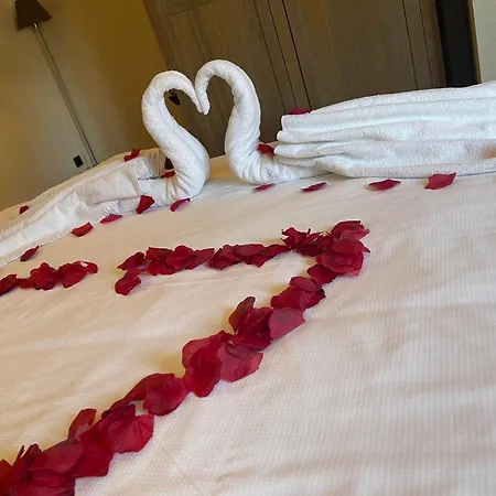 Lace Hotel-3