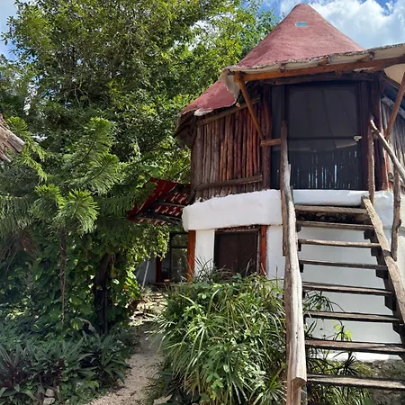 Tree House Tulum-3