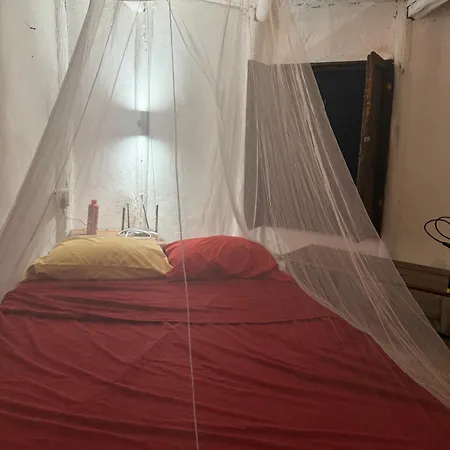 Tree House Tulum-2