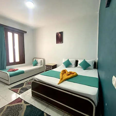 Octopus Hotel-3