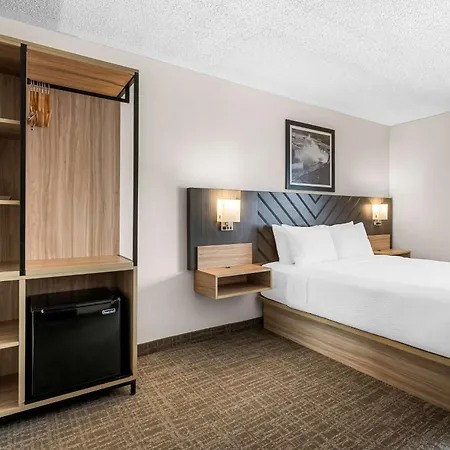 Best Western Buffalo Inn & Suites-3