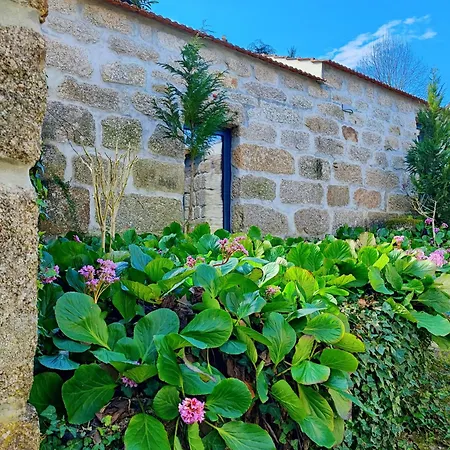 Agroturismo Quinta De Travancela-2