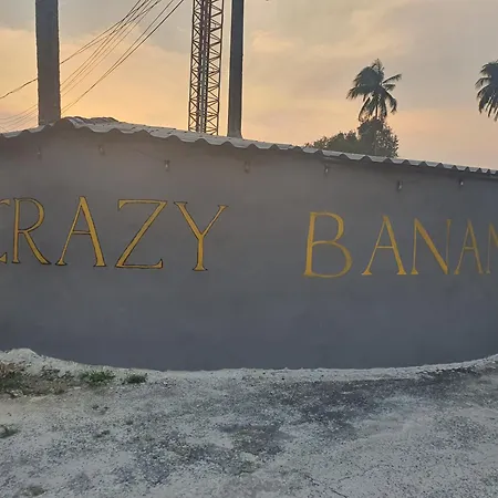 Crazy Bananas & Crazy Monkey-3