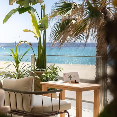 Hotel Eden Palma Playa Adults Only-3