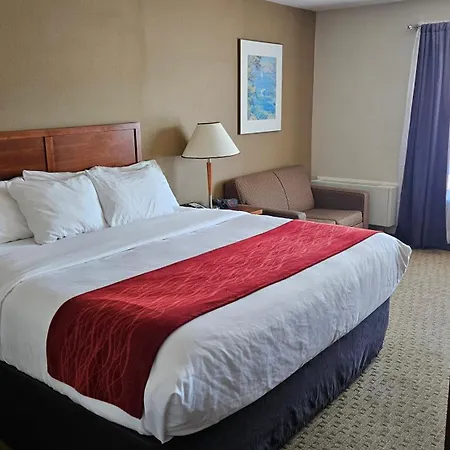 Comfort Inn-3