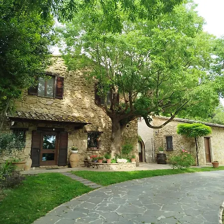 B&B All'Ombra di San Damiano-3