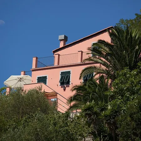 Il Nettare-3