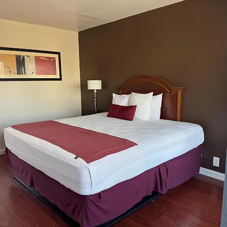 Holiday Lodge-2