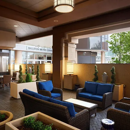 Hilton Arlington-3