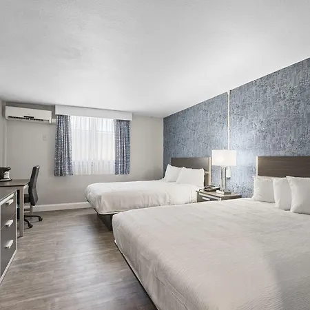 Super 8 By Wyndham Watertown/Cambridge/Boston Area-2