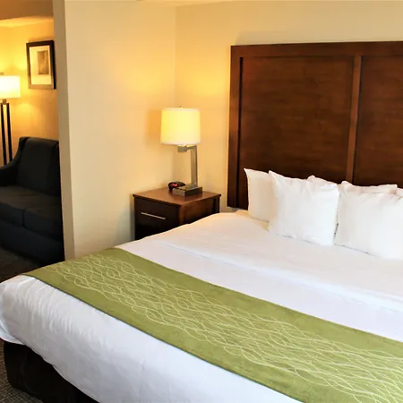 Comfort Inn & Suites Chesterfield - St Louis-3
