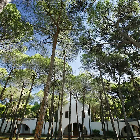 Hotel Mare Pineta-3