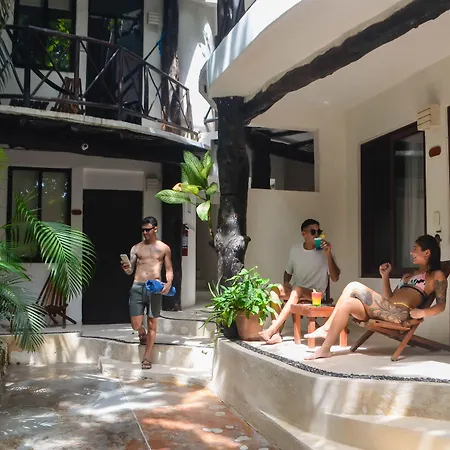 Siesta Fiesta Hotel - 5Th Avenue (Adults Only)-3
