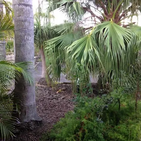Forster Palms Motel-2