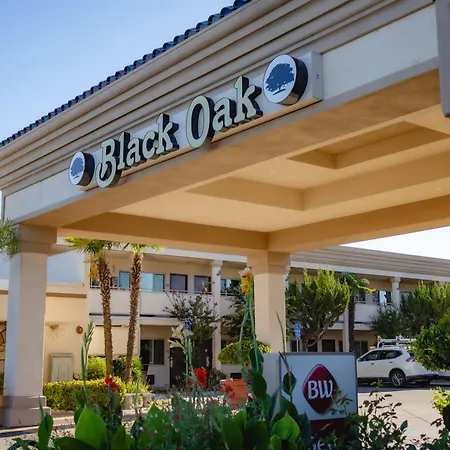 Best Western Plus Black Oak-2