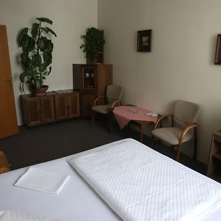 Hotel Slovan Plzen-3